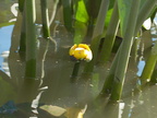IMG 3633